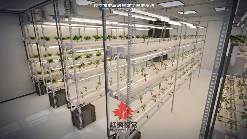 农作物生命信息数字孪生系统